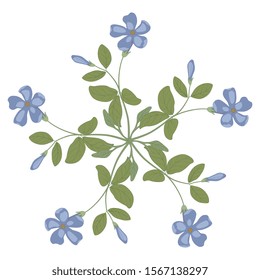 Isolated vector illustration. Round floral decor. Star with branches of periwinkle flower. Vinca minor. Folk style.