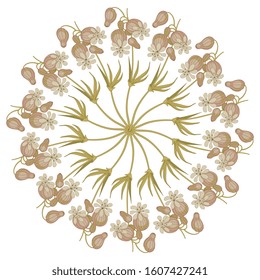 Isolated vector illustration. Round floral decor or mandala with branches of white campion flower. Silene latifolia. 