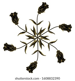 Isolated vector illustration. Round floral decor. Six point star with branches of bell flower. Campana Lilac Campanula. Black and gold silhouette.