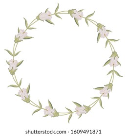 Isolated vector illustration. Round floral decor or frame. Wreath of bell flowers. Campana Lilac Campanula.