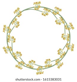 Isolated vector illustration. Round floral decor or frame. Wreath of yellow narcissus or daffodil flower branches. Cute spring decor.