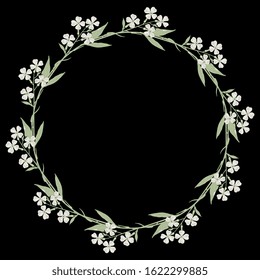 Isolated vector illustration. Round floral decor or frame. Wreath of white flowers. Hesperis Alba flower. Dame's Rocket. Sweet Rocket. On black background.