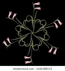 Isolated vector illustration. Round floral decor. Botanical mandala. Star with gladioli flower branches. On black background.