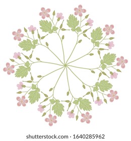Isolated vector illustration. Round floral decor or mandala with branches of wild flowers. Geranium or Pelargonium blossom. Cranesbill plant. 