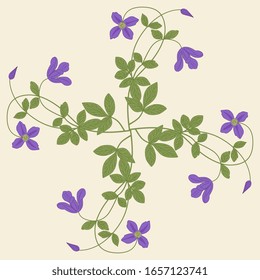 Isolated vector illustration. Round floral decor or mandala with branches of clematis flower.