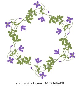 Isolated vector illustration. Round floral decor or frame with branches of clematis flower.
