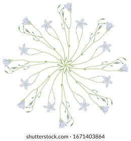 Vektorillustration einzeln. Runde Blumendekor oder Mandala mit Zweigen der Blütenblume. 