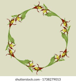 Ilustración vectorial aislada. Marco floral redondo. Leyenda de las ramas de flor de pantuflas de Lady. Orquídea salvaje. Cypripedium calceolus.