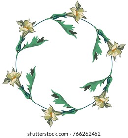 Isolated vector illustration. Round floral frame with datura flowers.