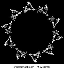 Isolated vector illustration. Round floral border. Wreath of datura flowers. White silhouettes on black background. Based on hand drawn sketch.