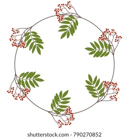 Isolated vector illustration. Round floral frame with rowan tree clusters.