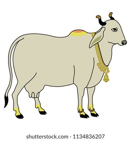 Isolated vector illustration of a sacred Indian Hindu cow adorned with golden bell. Based on traditional vintage art.