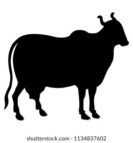 Isolated vector illustration of a sacred Indian cow. Black silhouette on white background.
