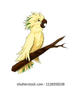 Isolated vector illustration of a screaming parrot sitting on the wooden branch.