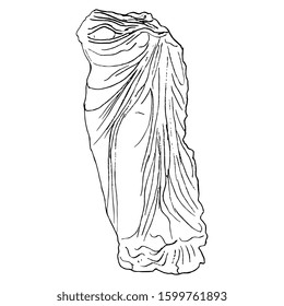 Isolated vector illustration. Sculpture of ancient Greek or Roman goddess. Headless draped female torso. Black and white linear silhouette. hand drawn sketch.