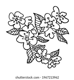 Isolated vector illustration set of abstract black and white blossoming apple leaves and flowers line art. The design is perfect for stickers, logos, icons, textiles, decorations, badges
