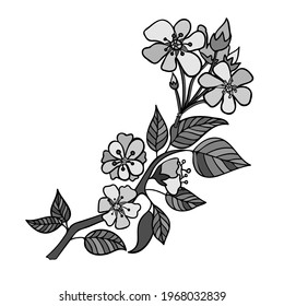 Isolated vector illustration set of abstract black and white blossoming apple leaves and flowers on branch line art. The design is perfect for stickers, logos, icons, textiles, decorations, badges