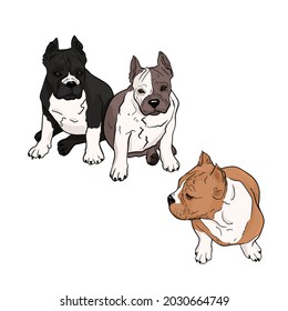 Isolated vector illustration of a set of dogs on a white background. Pet shop, veterinary medicine isolated blank for designers, logo, emblem, trend