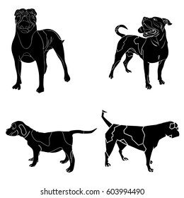 isolated vector illustration of a set of outlined silhouettes of american bulldogs