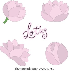 Einziger Vektorgrafik-Set mit rosafarbenem Lotus. Romantische Blume auf weißem Hintergrund. Kann für Dekorationen, Grußkarten und Hintergründe verwendet werden. 