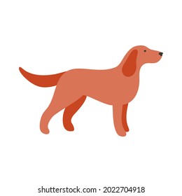 Isolated vector illustration of a Setter dog