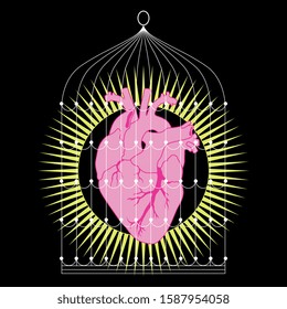 Isolated vector illustration. Shining human heart in bird's cage. Abstract concept.