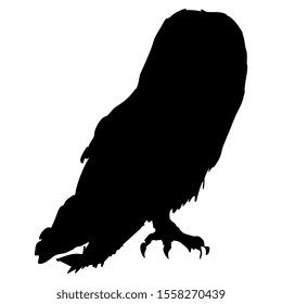 Barn Owl Silhouette Images Stock Photos Vectors Shutterstock