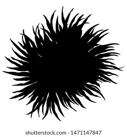 Isolated vector illustration. Silhouette of cereus cactus flower. Aster or chrysanthemum. Sea anemone.