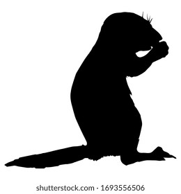 Isolated Vector Illustration. Silhouette Of A Gnawing Rodent. Ground Squirrel Or Chipmunk. Prairie Dog.