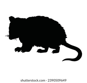 Isolated vector illustration. Silhouette of North American opossum or a rat.