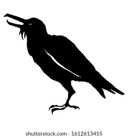 Isolated vector illustration. Silhouette of raven bird with open beak in profile. Black ink sketch.