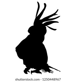 Isolated vector illustration. Silhouette of a sitting cockatoo parrot. Cacatua galerita.