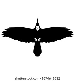 Isolated vector illustration. Silhouette of soaring raven with human skull. Emblem of death and witchery. Native American mythology.