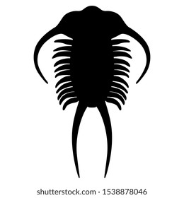 
Isolated vector illustration. Silhouette of Trilobite. Extinct marine arthropod animal.