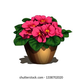 Isolated vector illustration of the simple brown flower-pot with realistic blooming primula flowers svg