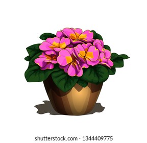 Isolated vector illustration of the simple brown flower-pot with realistic blooming primula flowers
