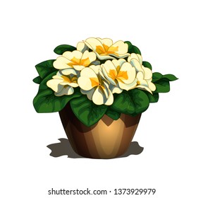Isolated vector illustration of the simple brown flower-pot with realistic blooming primula flowers svg