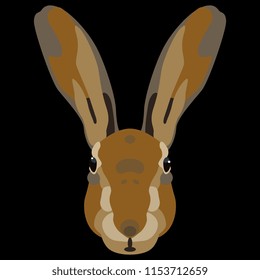 Isolated vector illustration. Simple stylized face of a hare. Flat cartoon style.