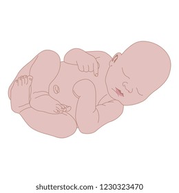 Isolated vector illustration. Sleeping newborn baby. Flat cartoon style.