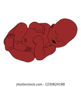 Isolated vector illustration. Sleeping newborn baby. Flat cartoon style.