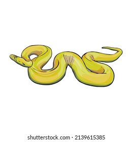 Ilustración vectorial aislada de una serpiente sobre un fondo blanco. Constrictor de boa en blanco para diseñadores, impresión en ropa, embalaje, logotipo, icono