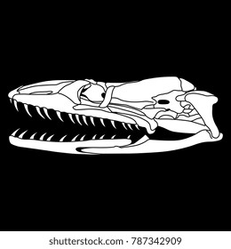 Isolated vector illustration of a snake's skull. On black background.