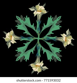 Isolated vector illustration. Square decor made of four Datura flowers. Datura Stramonium. Thorn apple. Symmetrical symbol, emblem, decorative element, texture, background.