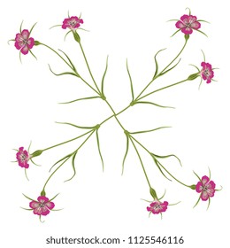 Isolated vector illustration. Square floral decor made of Corn Cockle plants. Agrostemma Githago.