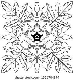 Isolated vector illustration. Square floral decor. Wild rose mandala. Vintage style. Black and white linear silhouette.