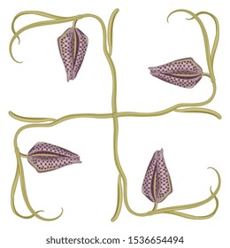 Isolated vector illustration. Square floral decor with branches of fritillaria flowers.