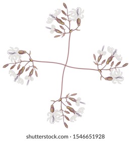 Isolated vector illustration. Square floral decor. Cross with four branches of white campion flowers. Silene latifolia.