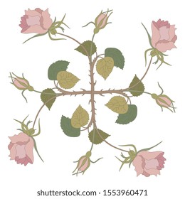Isolated vector illustration. Square floral decor with branches of roses.