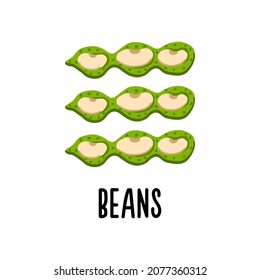 Isolated vector illustration of string beans on a white background. Clipart for the children's food directory