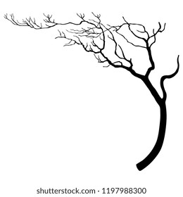Isolated vector illustration. Stylized autumn tree with bent trunk. Black silhouette on white background.